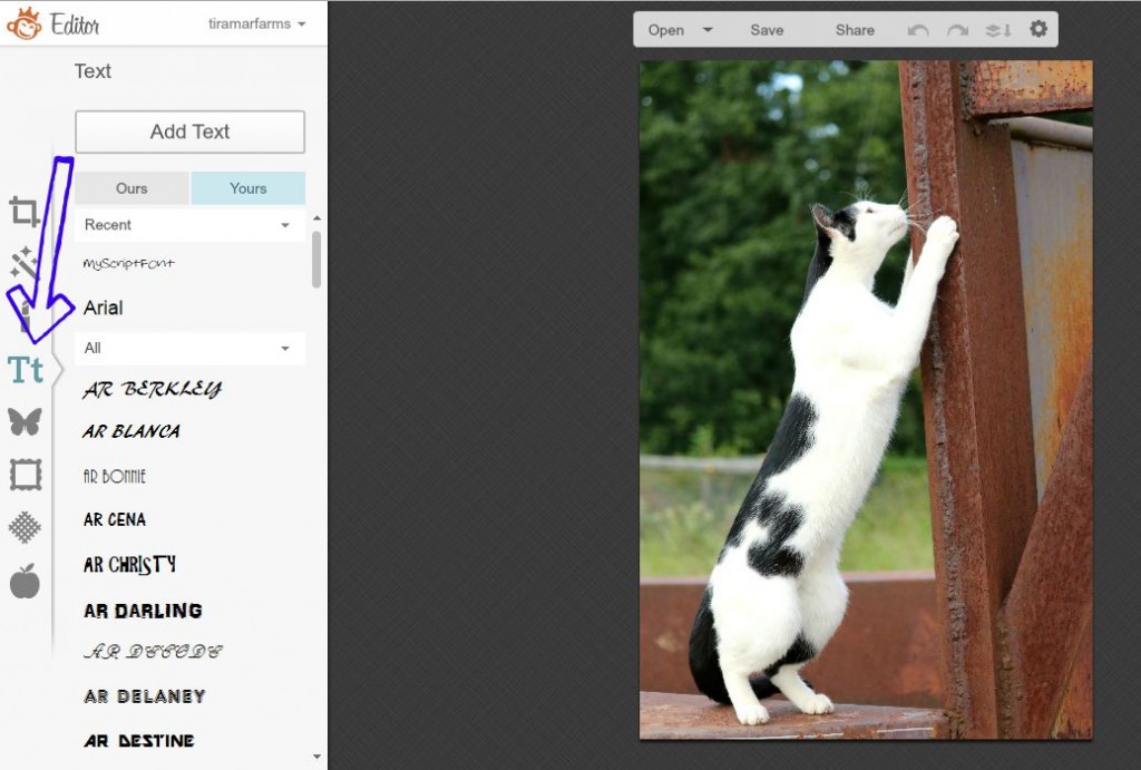 picmonkey 3