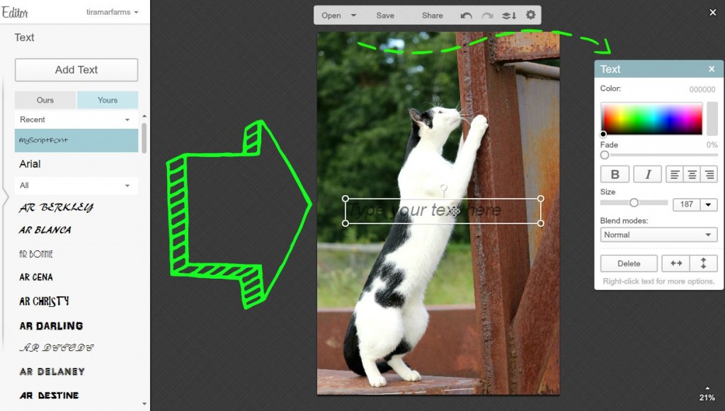 picmonkey 4