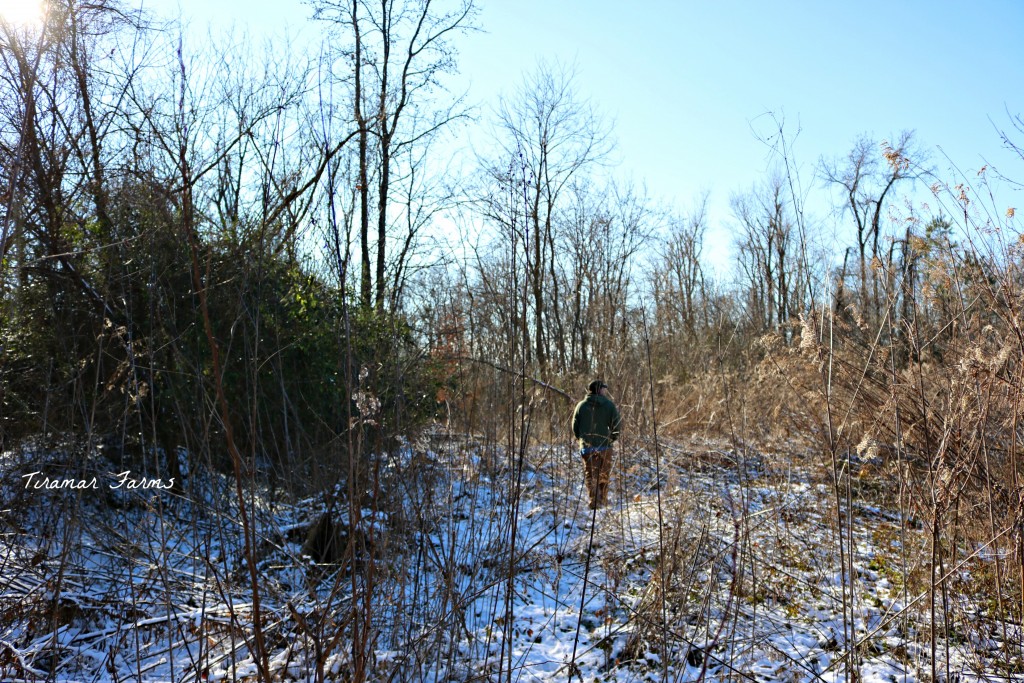 1IMG_2566