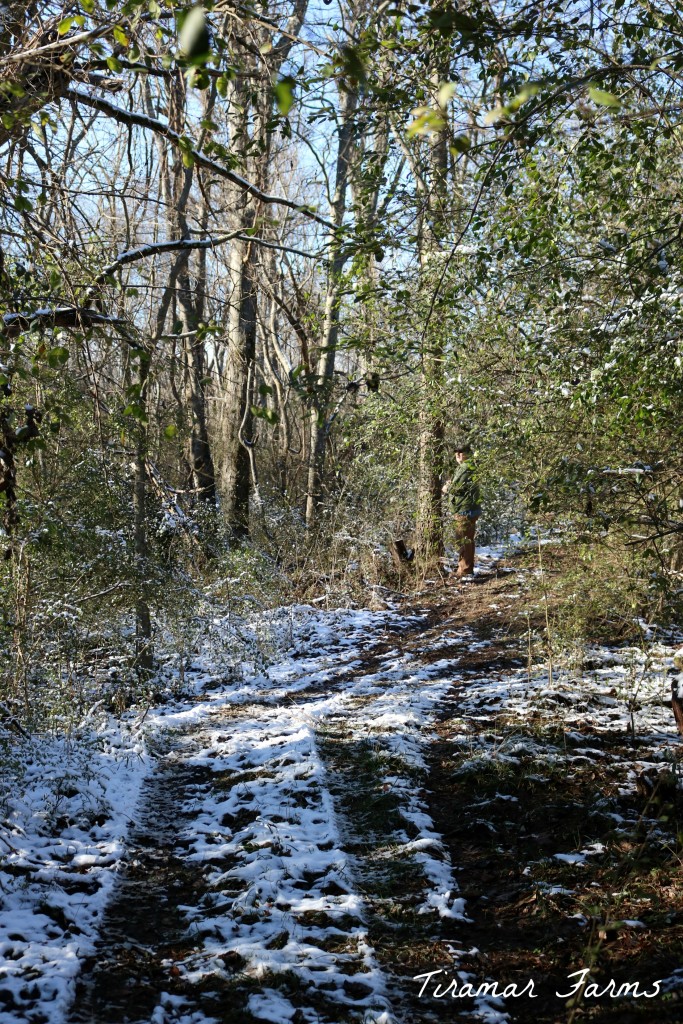1IMG_2571